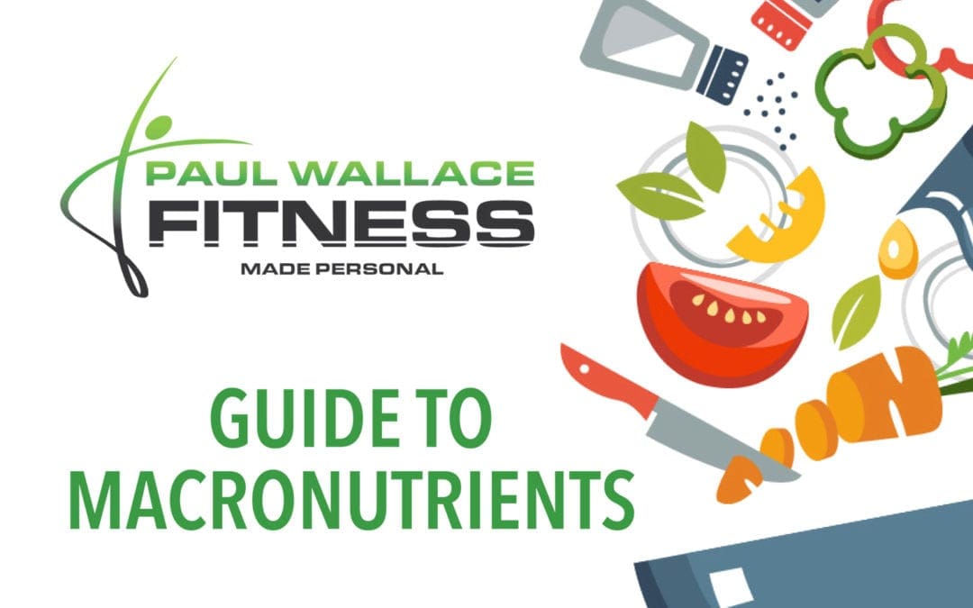 Guide to Macronutrients
