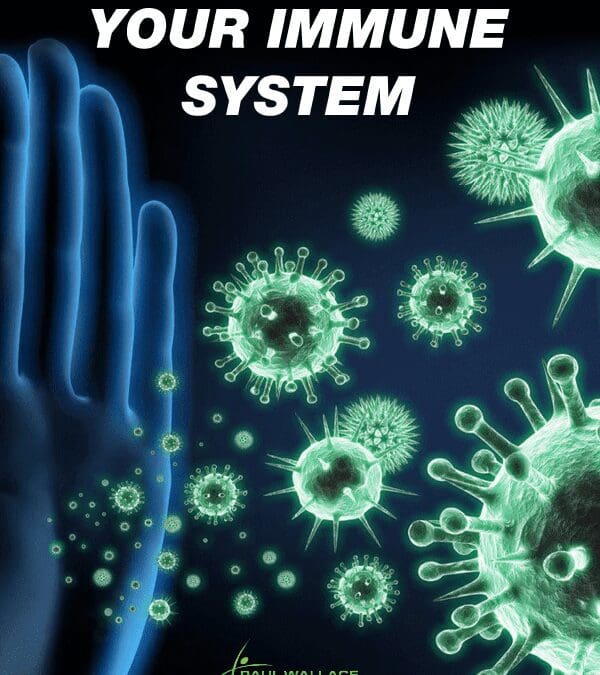 Educational Ebook – How to: Boost your immune system