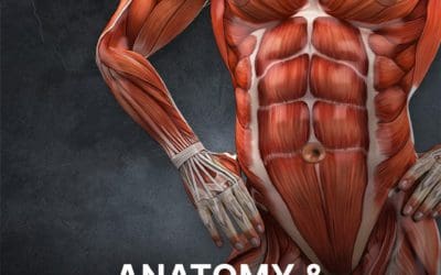 Anatomy & Exercise Guide